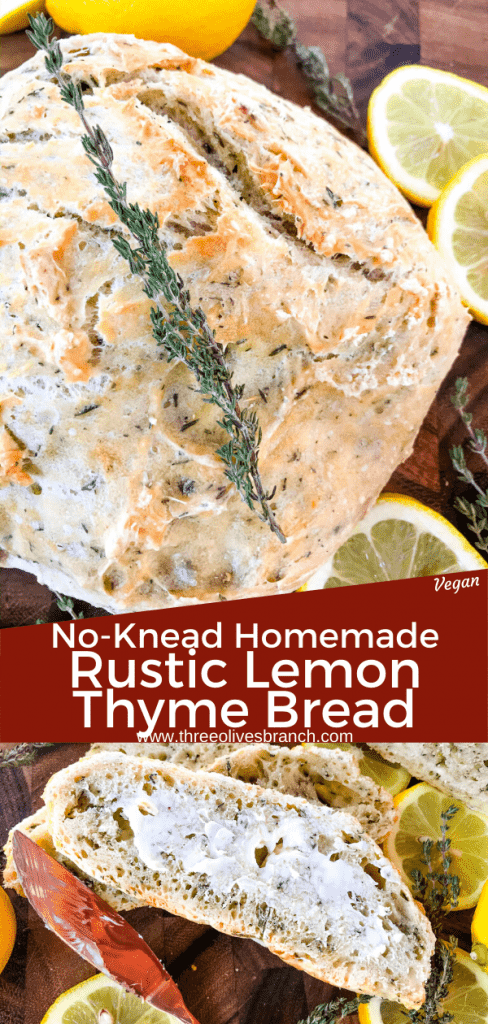 No Knead Rustic Lemon Thyme Bread is a simple homemade bread recipe. No knead and cooked in a Dutch oven, full of Italian flavors with lemon and dried herbs. #rusticbread #nokneadbread #Italianbread