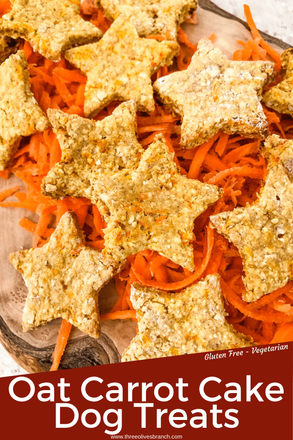 Oat Carrot Cake Dog Treats recipe are filled with carrots and carrot cake spices. An easy homemade dog treat made with oats and no flour (gluten free). Makes soft or crunchy treats. #homemadedogtreats #diydogtreats #carrotdogtreats