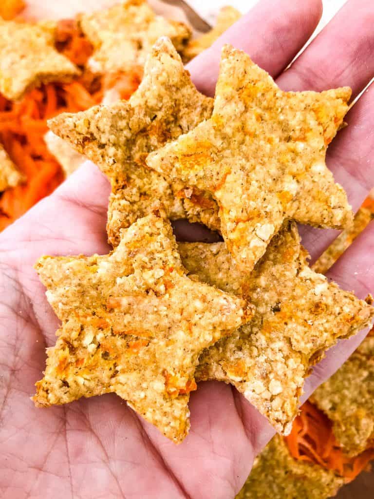 Oat Carrot Cake Dog Treats recipe are filled with carrots and carrot cake spices. An easy homemade dog treat made with oats and no flour (gluten free). Makes soft or crunchy treats. #homemadedogtreats #diydogtreats #carrotdogtreats