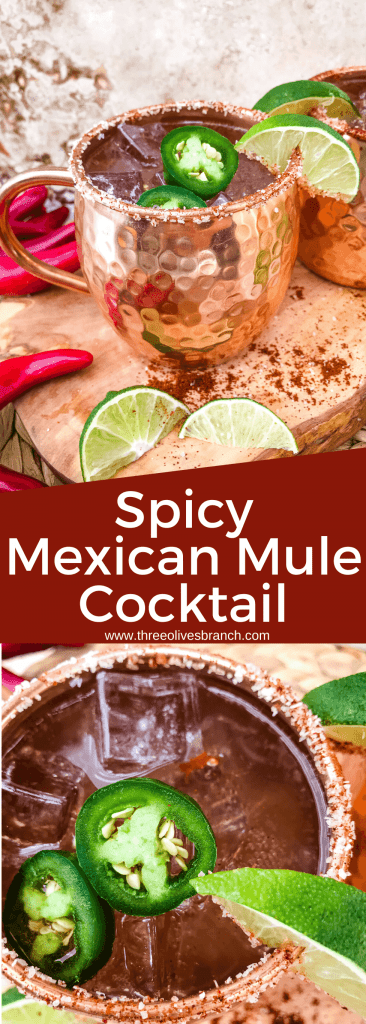 Spicy Mexican Mule Cocktail recipe is a twist on the classic drink using tequila instead of vodka with ginger beer, lime, and heat with a salt rim. A simple and delicious Moscow Mule variation. #mexicanmule #tequilacocktail #moscowmule #spicycocktail