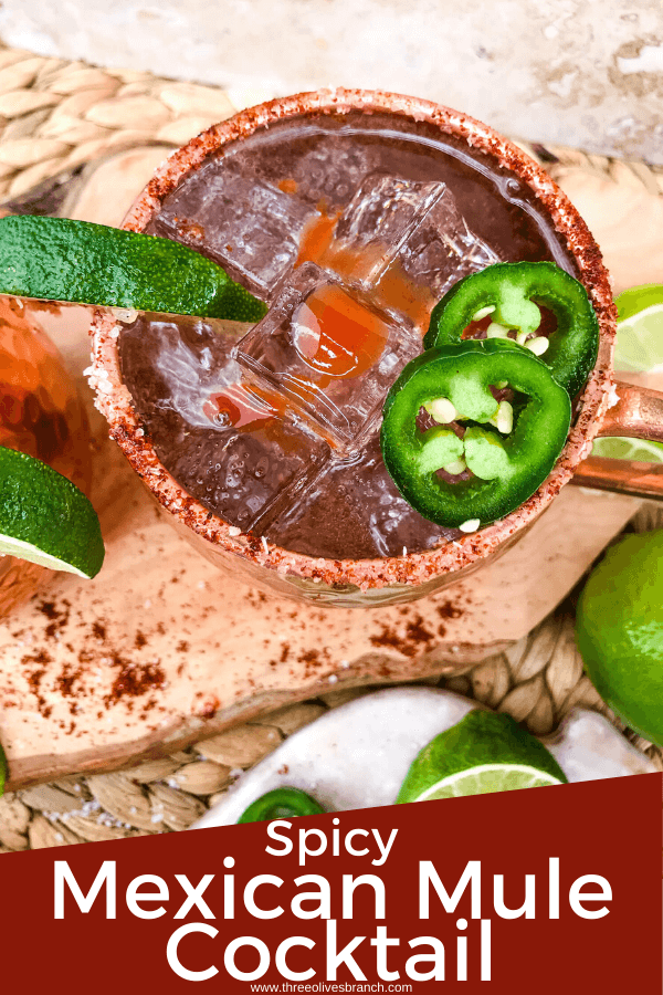 Spicy Mexican Mule Cocktail recipe is a twist on the classic drink using tequila instead of vodka with ginger beer, lime, and heat with a salt rim. A simple and delicious Moscow Mule variation. #mexicanmule #tequilacocktail #moscowmule #spicycocktail