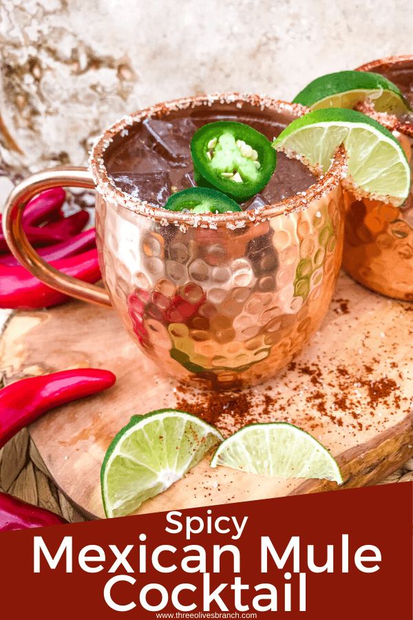 Spicy Mexican Mule Cocktail recipe is a twist on the classic drink using tequila instead of vodka with ginger beer, lime, and heat with a salt rim. A simple and delicious Moscow Mule variation. #mexicanmule #tequilacocktail #moscowmule #spicycocktail