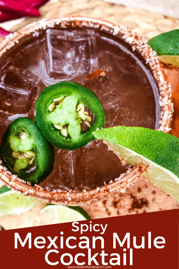 Spicy Mexican Mule Cocktail recipe is a twist on the classic drink using tequila instead of vodka with ginger beer, lime, and heat with a salt rim. A simple and delicious Moscow Mule variation. #mexicanmule #tequilacocktail #moscowmule #spicycocktail