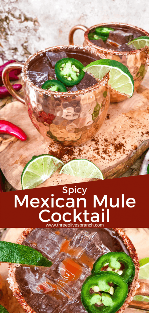 Spicy Mexican Mule Cocktail recipe is a twist on the classic drink using tequila instead of vodka with ginger beer, lime, and heat with a salt rim. A simple and delicious Moscow Mule variation. #mexicanmule #tequilacocktail #moscowmule #spicycocktail