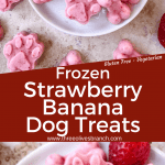 Long pin of Frozen Strawberry Banana Dog Treats with title