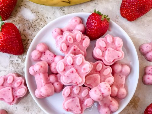 Fruit dog treats recipes shop