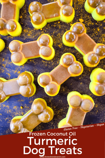 Snapshot of Turmeric And Coconut Oil Dog Treats