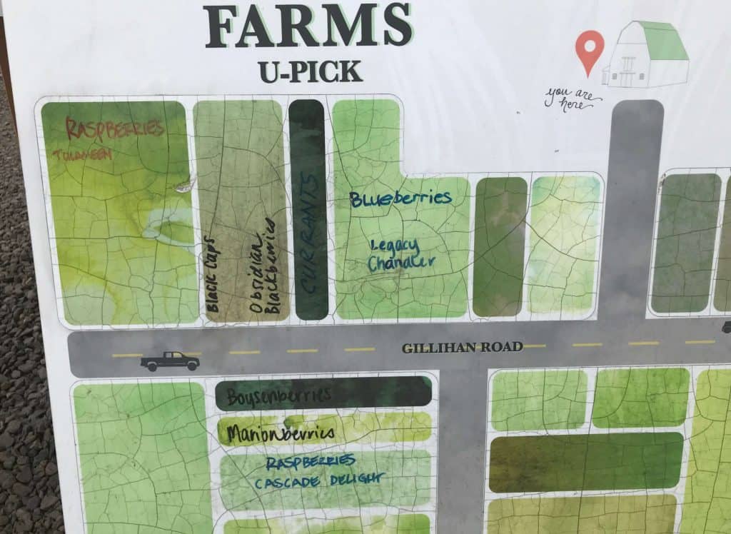 A berry farm map for Berry Picking in the Pacific Northwest (Sauvie Island, Portland, Oregon)