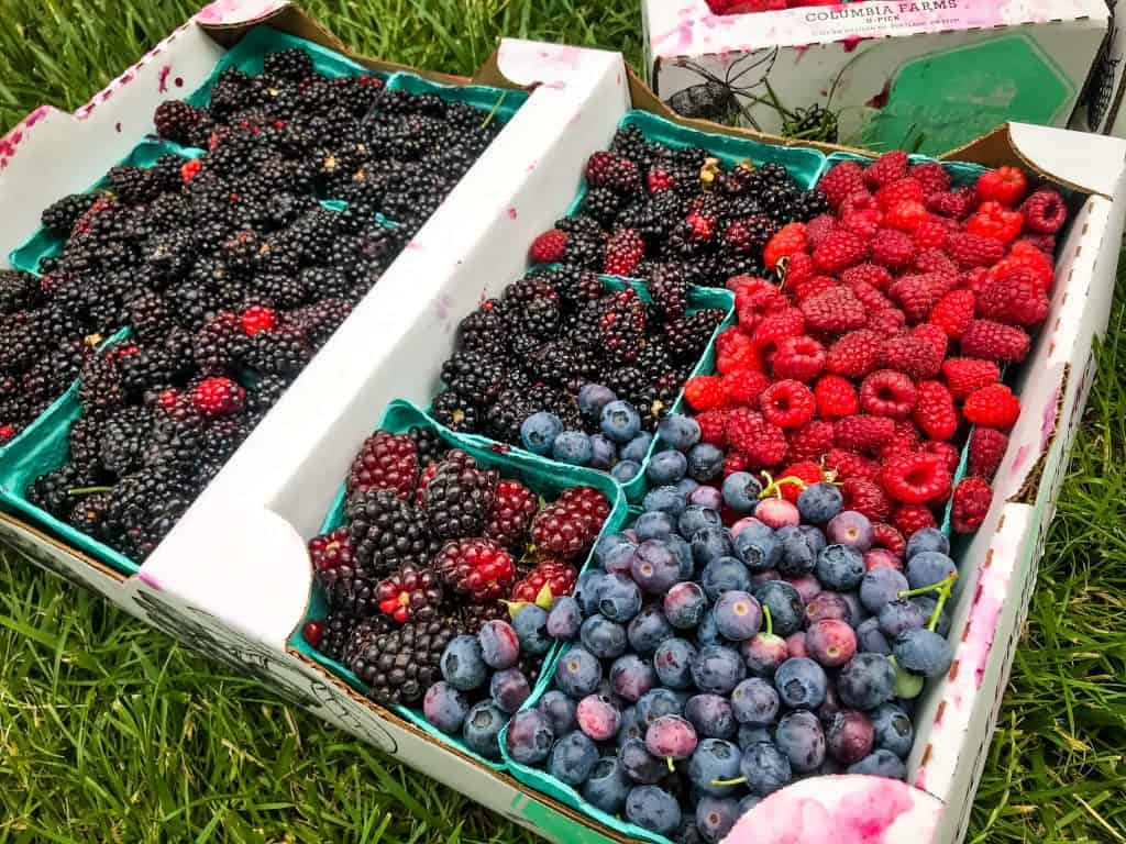 A full tray of berries