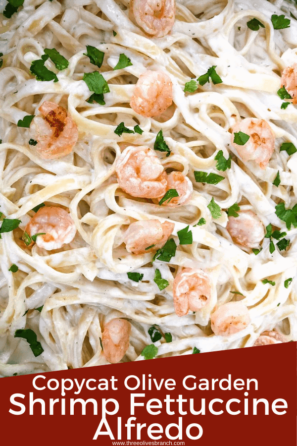 Pin image close up of Copycat Olive Garden Shrimp Alfredo with title at bottom