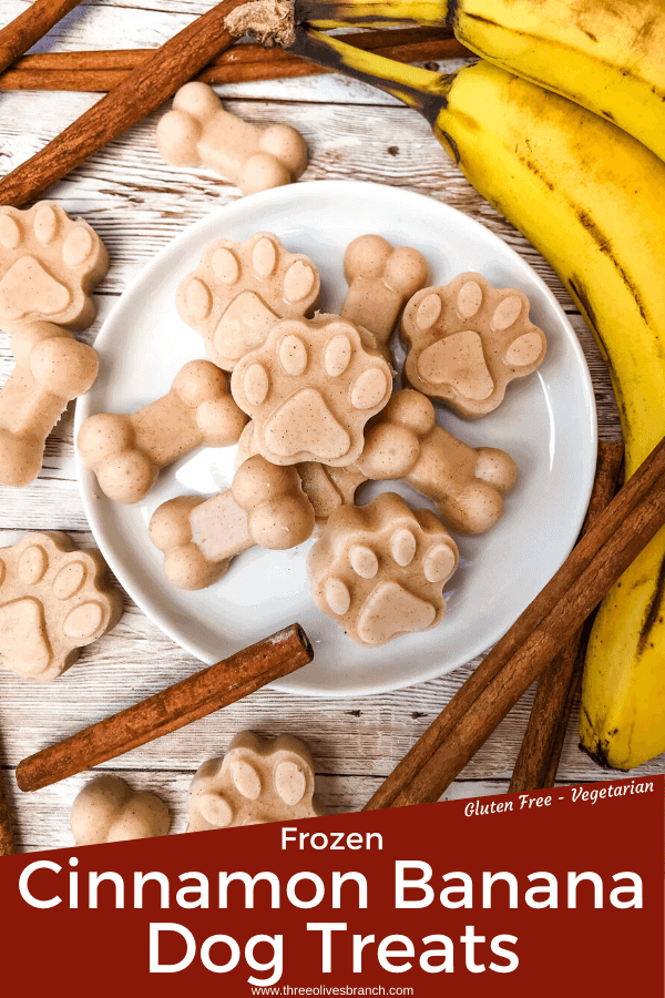 Pin image of Frozen Cinnamon Banana Dog Treats with title at bottom