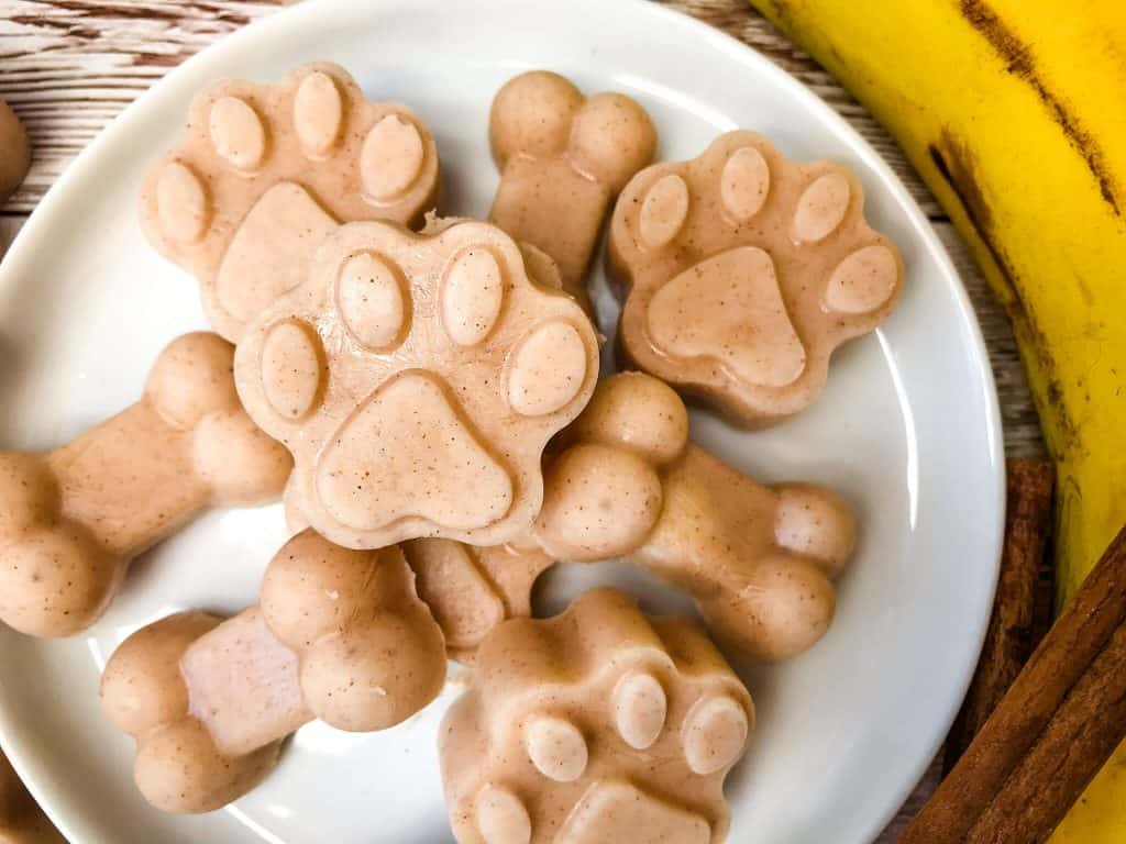Close up of paw and bone shaped Frozen Treats