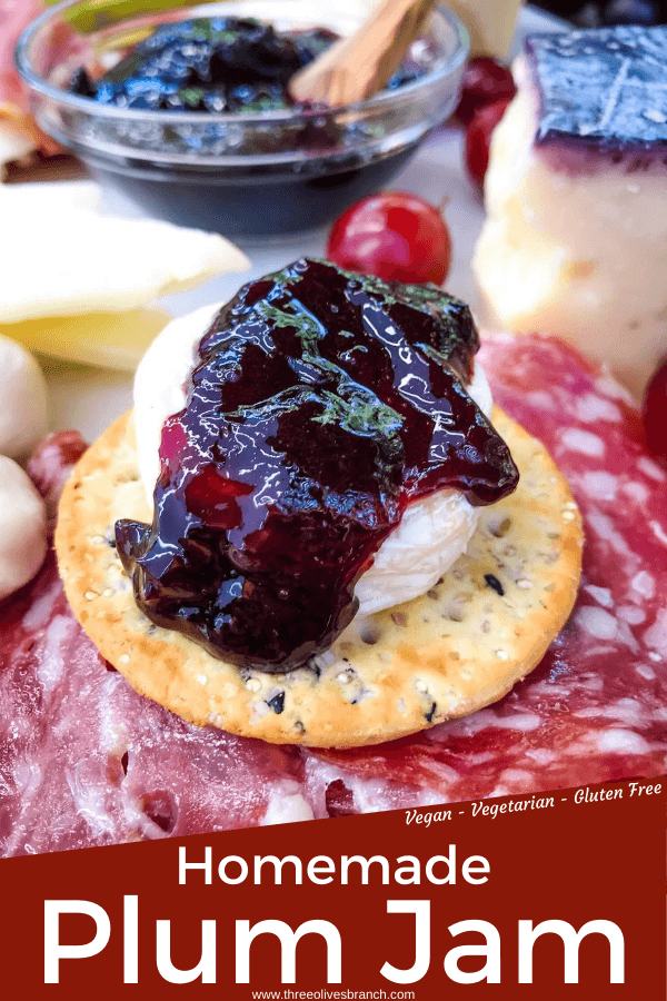 Pin of Plum Jam on a cracker with cheese and title at bottom