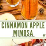Long pin for Cinnamon Apple Cider Mimosa with title.