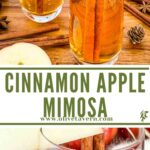 Long pin for Cinnamon Apple Cider Mimosa with title.