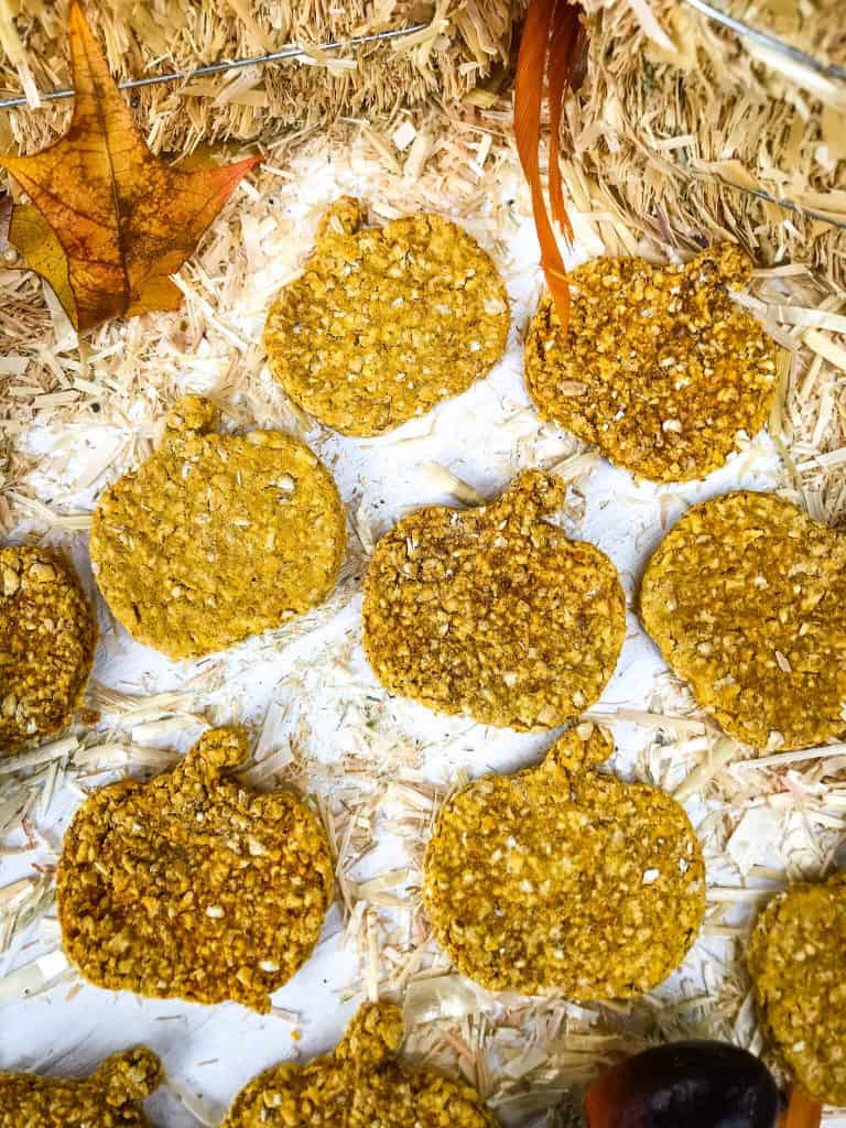 Grain Free Oatmeal Pumpkin Dog Treats surrounded by straw