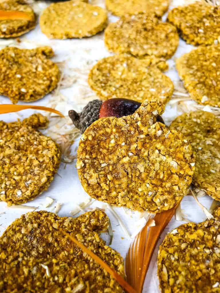 Close up of Grain Free Oatmeal Pumpkin Dog Treats