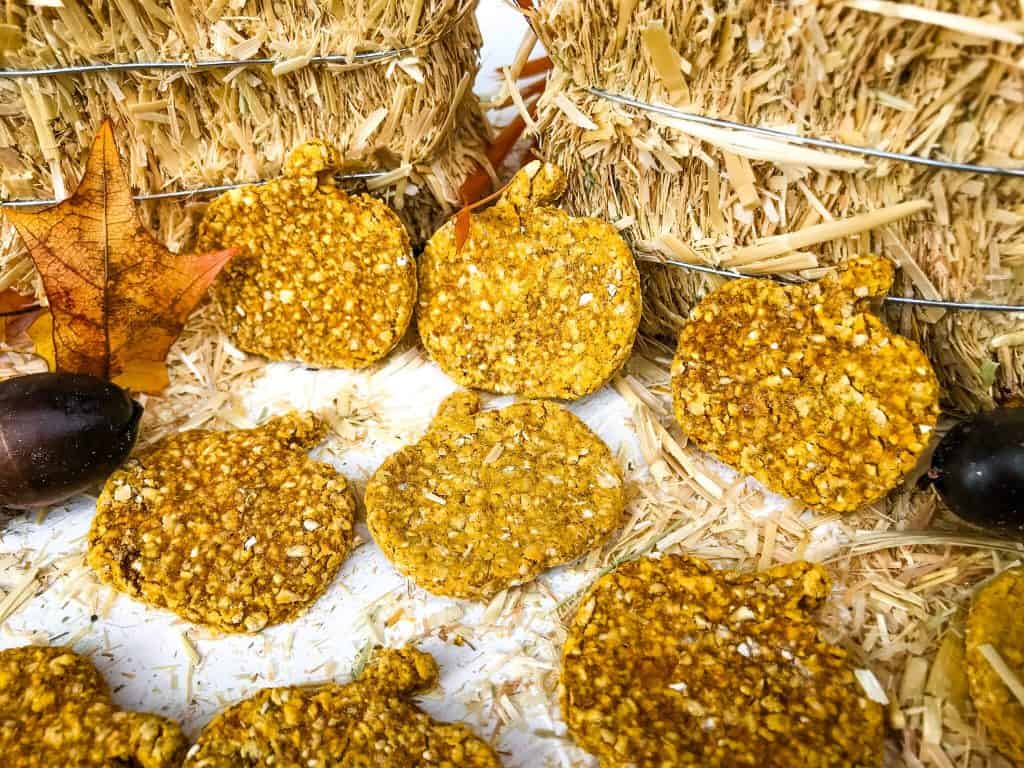 Grain Free Oatmeal Pumpkin Dog Treats propped up on straw bales