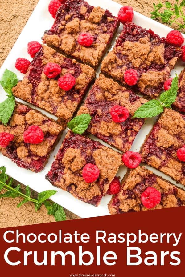 Pin image for Chocolate Raspberry Crumble Bars on a white tray with the title at the bottom
