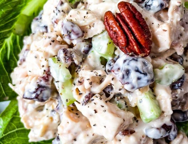 Close up top view of Cranberry Chicken Salad on lettuce