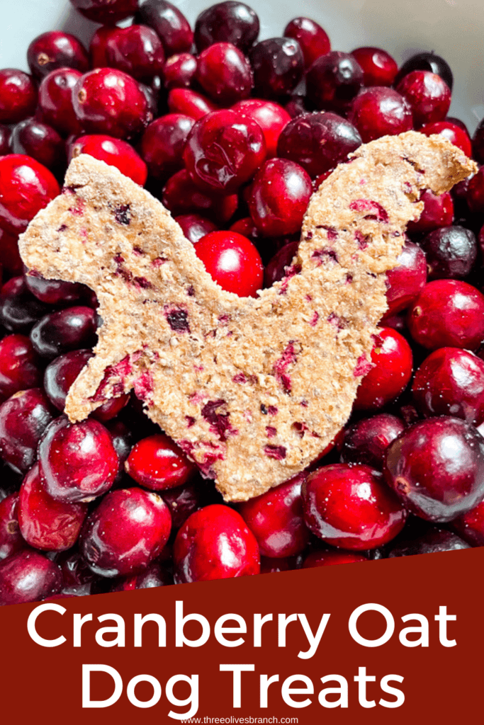 Pin image of a cranberry dog treat in a bowl of fresh cranberries with the title at bottom