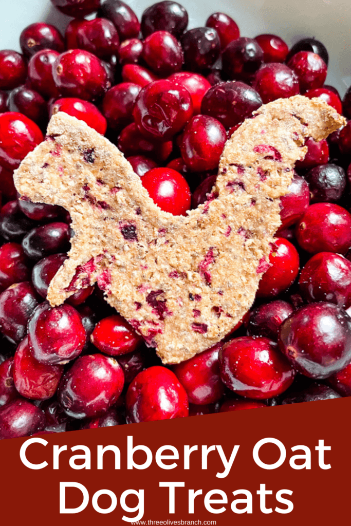 Honey oatmeal dog treats recipe sale
