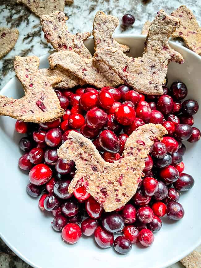 Several Honey, Oat, and Cranberry Dog Treats in a bowl with fresh cranberries