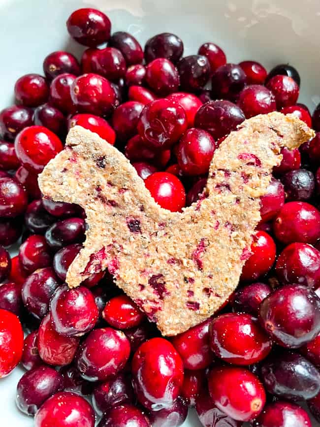 A Cranberry Dog Treat shaped like a squirrel sitting in a bowl of fresh cranberries