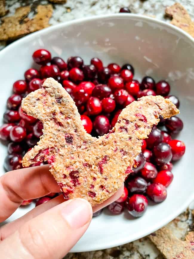 A hand holding a treat above a bowl of cranberries