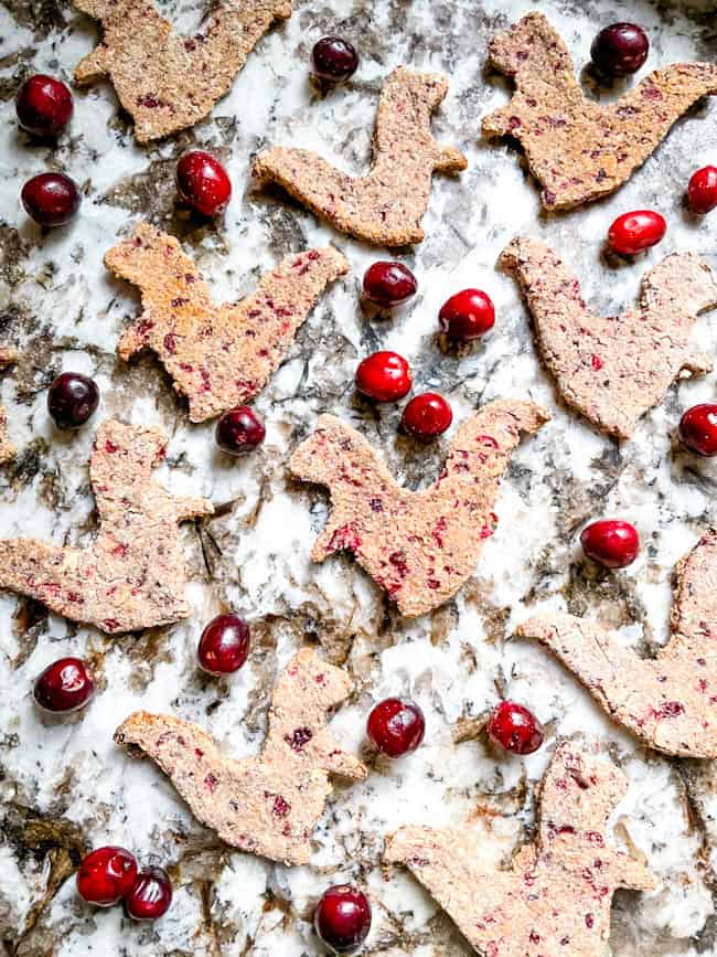 Honey, Oat, and Cranberry Dog Treats scattered on a granite counter with some fresh cranberries