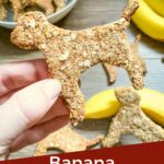 Pin of a hand holding a Banana Peanut Butter Dog Treats with title