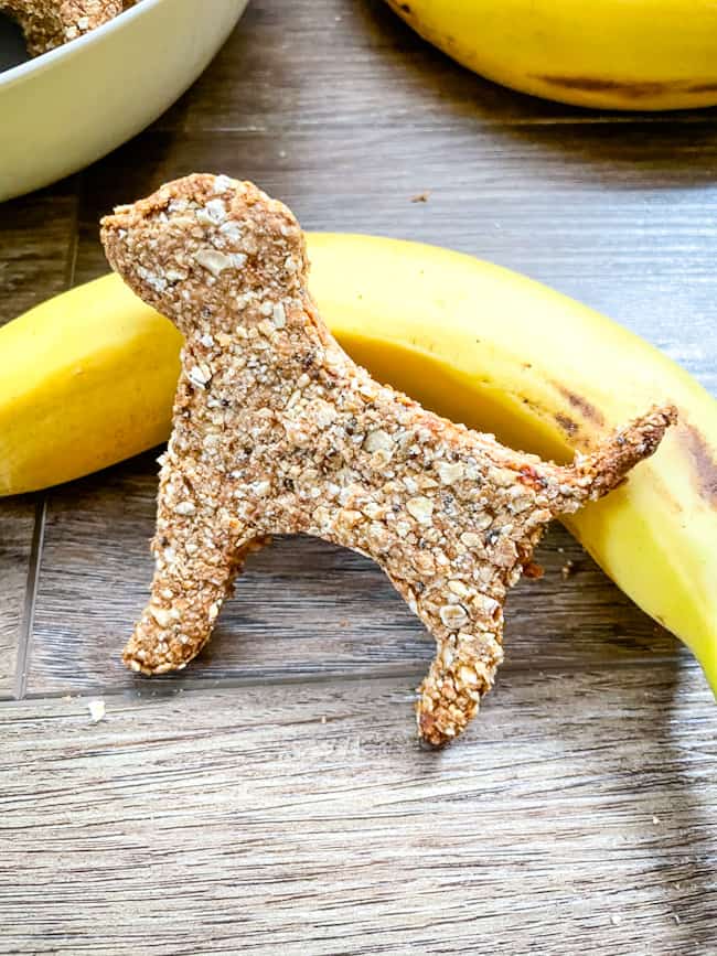 A treat propped up against a banana