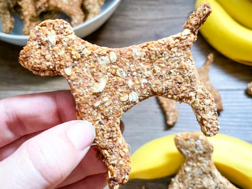 Peanut butter banana best sale dog treats grain free