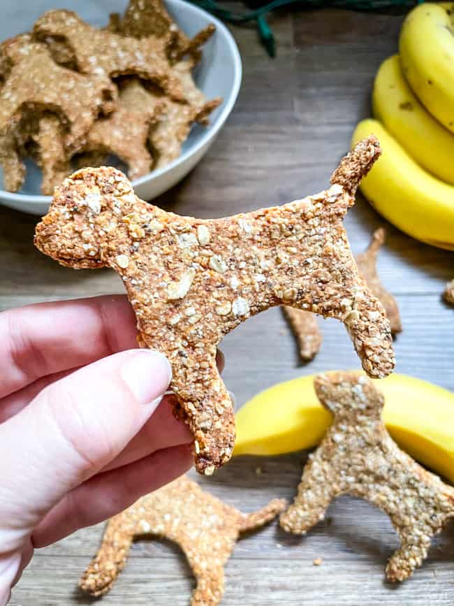 A hand holding a Banana Peanut Butter Dog Treats shaped like a dog