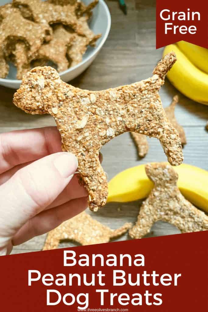 Pin image for Banana Peanut Butter Dog Treats with title at bottom