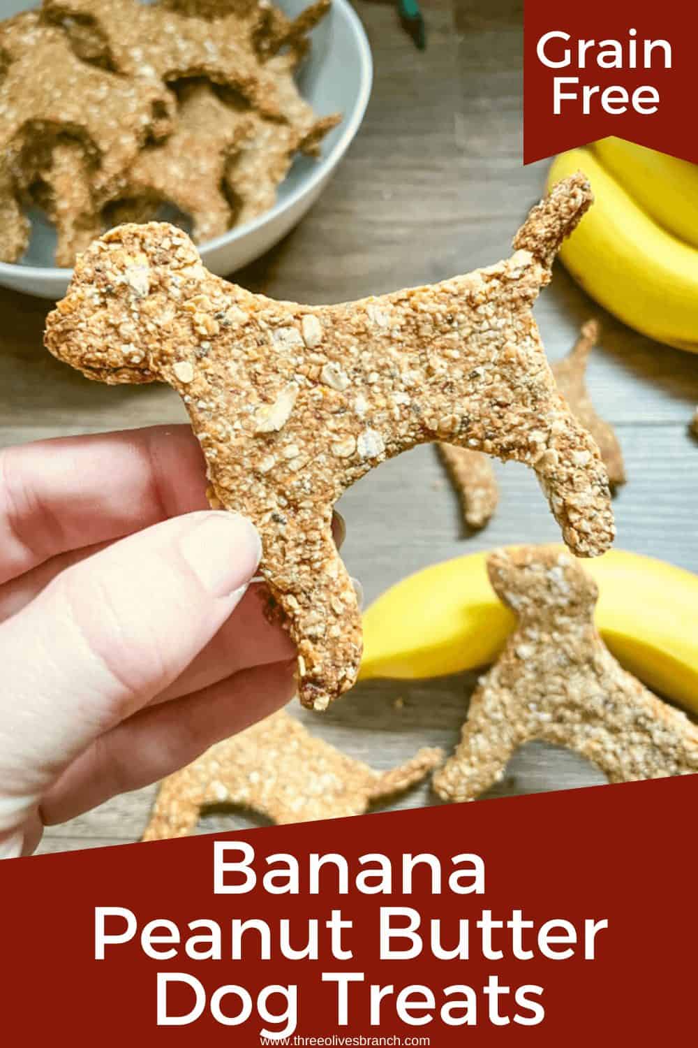 Banana Peanut Butter Dog Treats Three Olives Branch