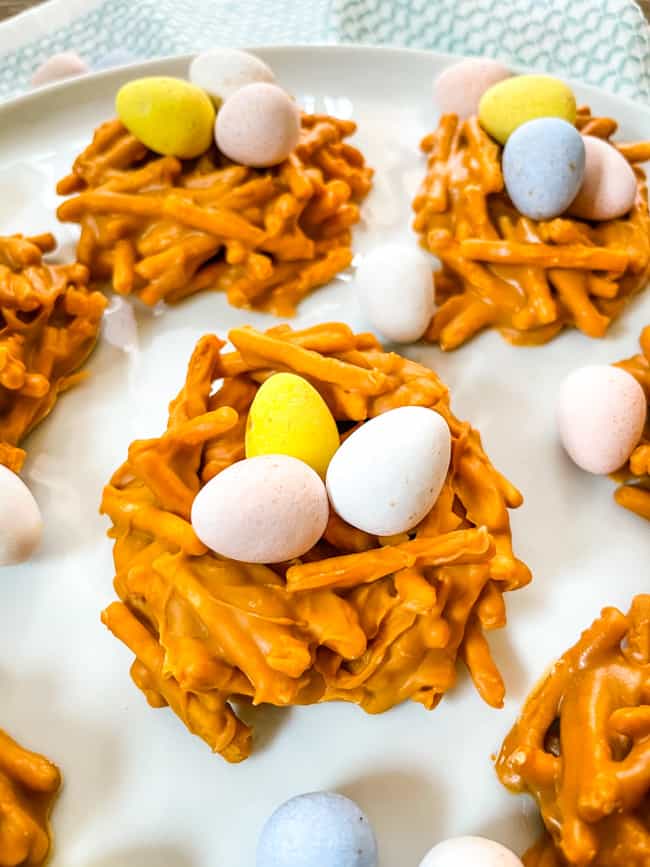 Close up of a Birds Nest Cookie