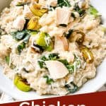 Pin image of a fork digging into Chicken and Leek Risotto with title at bottom