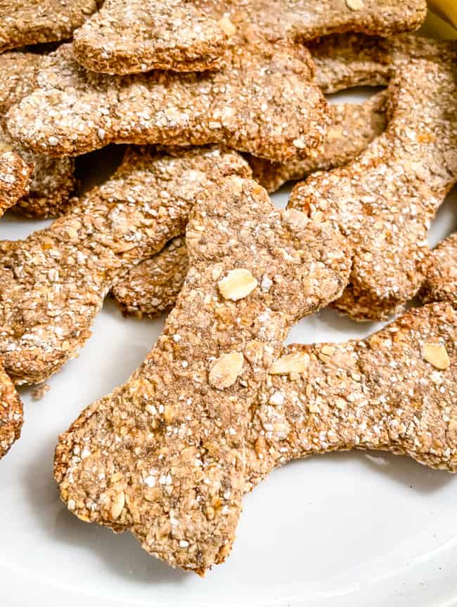 Close up of a bone shaped treat