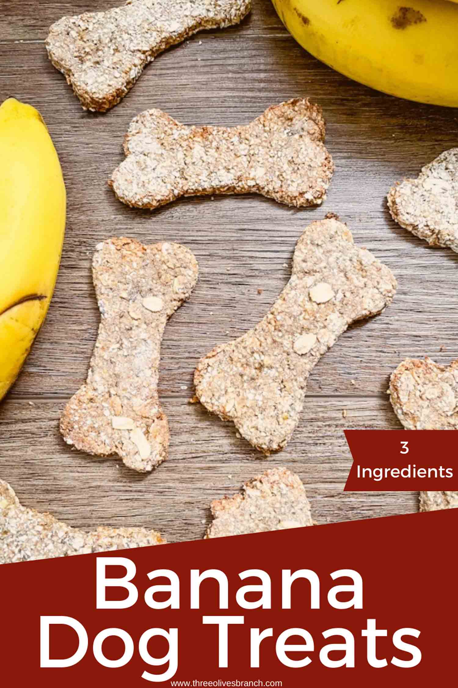 Banana Dog Treats Three Olives Branch