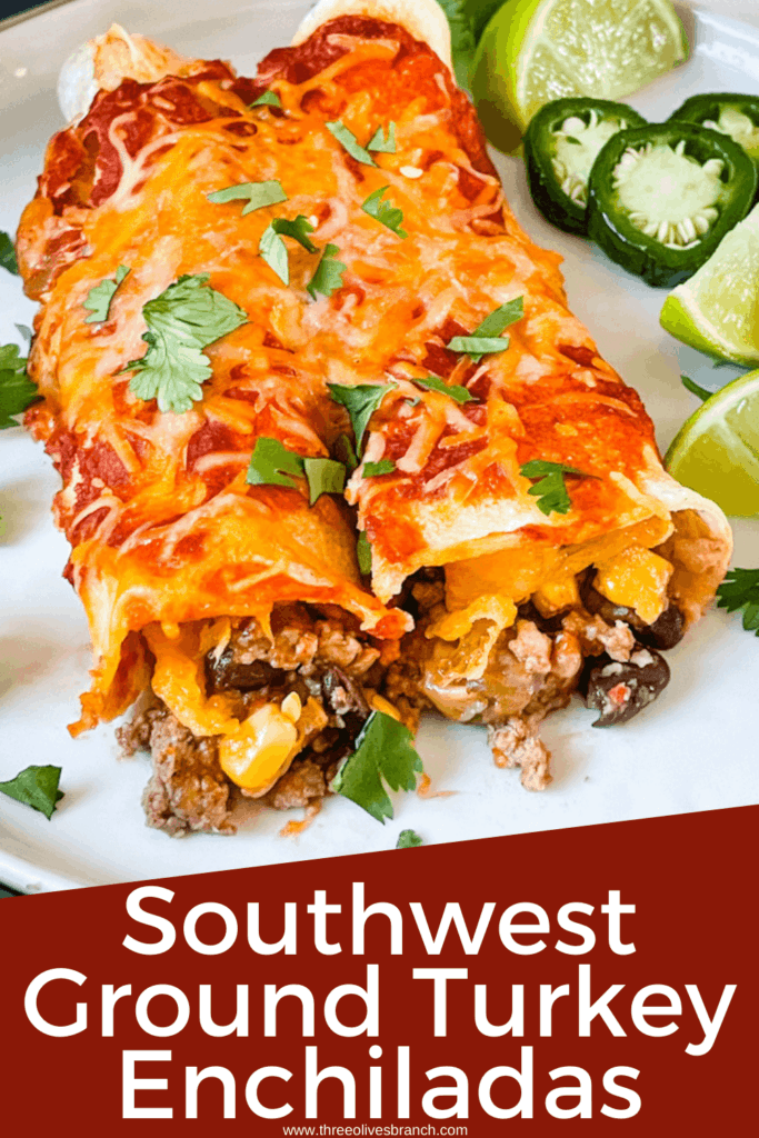 Pin image of two Southwest Ground Turkey Enchiladas on a plate with title at bottom