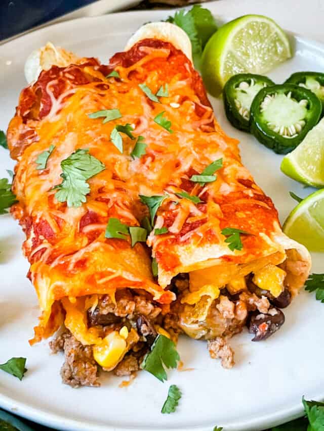 Southwest Ground Turkey Enchiladas Story