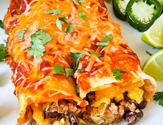 Two Southwest Ground Turkey Enchiladas on a plate with cilantro and limes