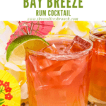 Pin image of red and orange Malibu Bay Breeze cocktail with title at top