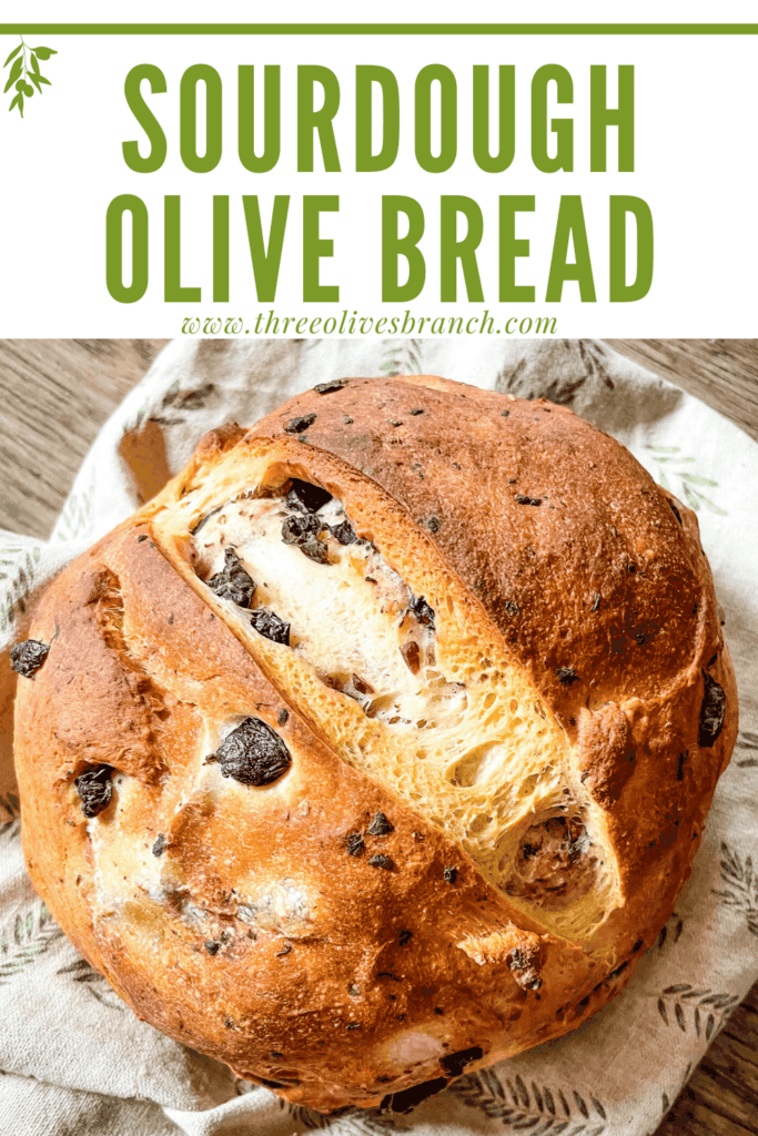 Pin image of a loaf of Sourdough Olive Bread with title at top