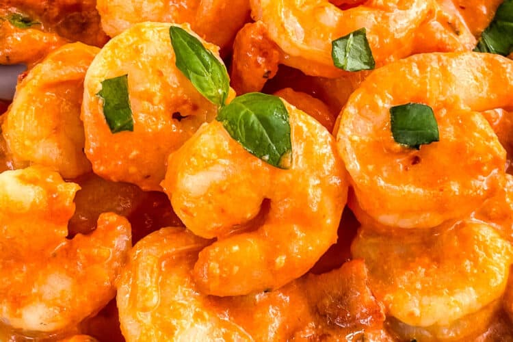 Close view of Shrimp in Vodka Sauce in a pile on a white plate