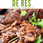 Pin image of some shredded Birria de Res with title at top