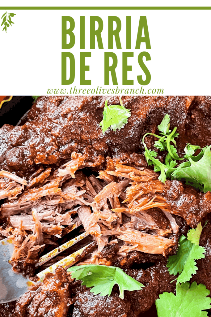 Pin image of some shredded Birria de Res with title at top