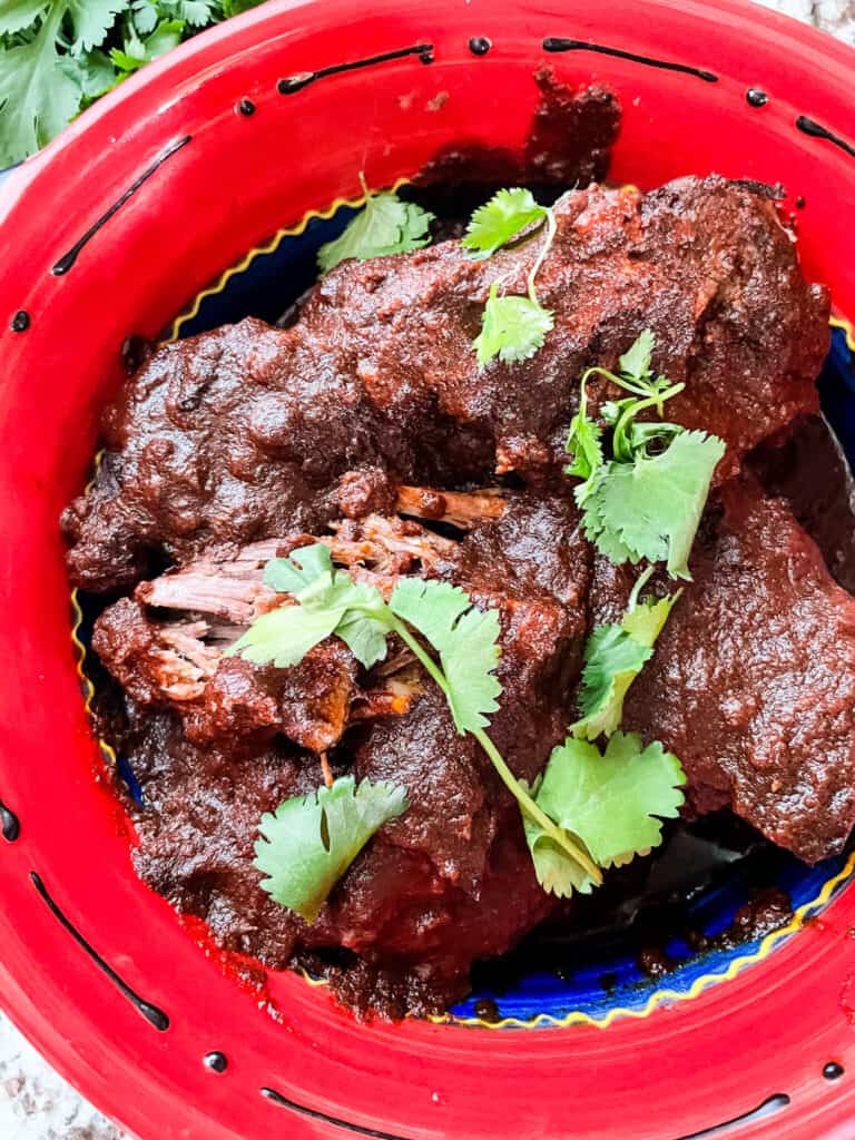 A red bowl full of Birria de Res with cilantro