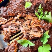 Some Birria de Res and some shredded with cilantro in a bowl